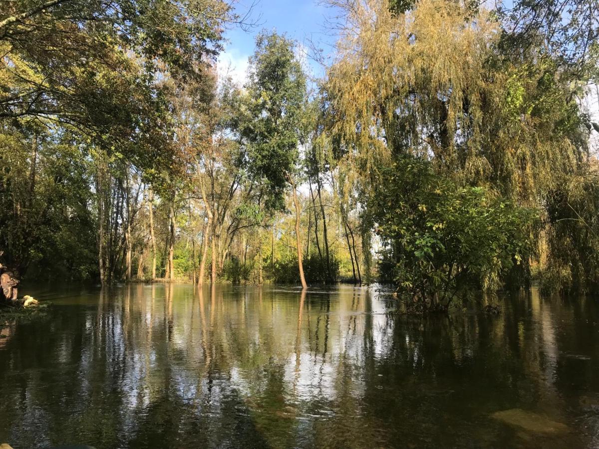 Апартаменти Ancien Moulin A Eau Sur La Seugne Mosnac  Екстер'єр фото